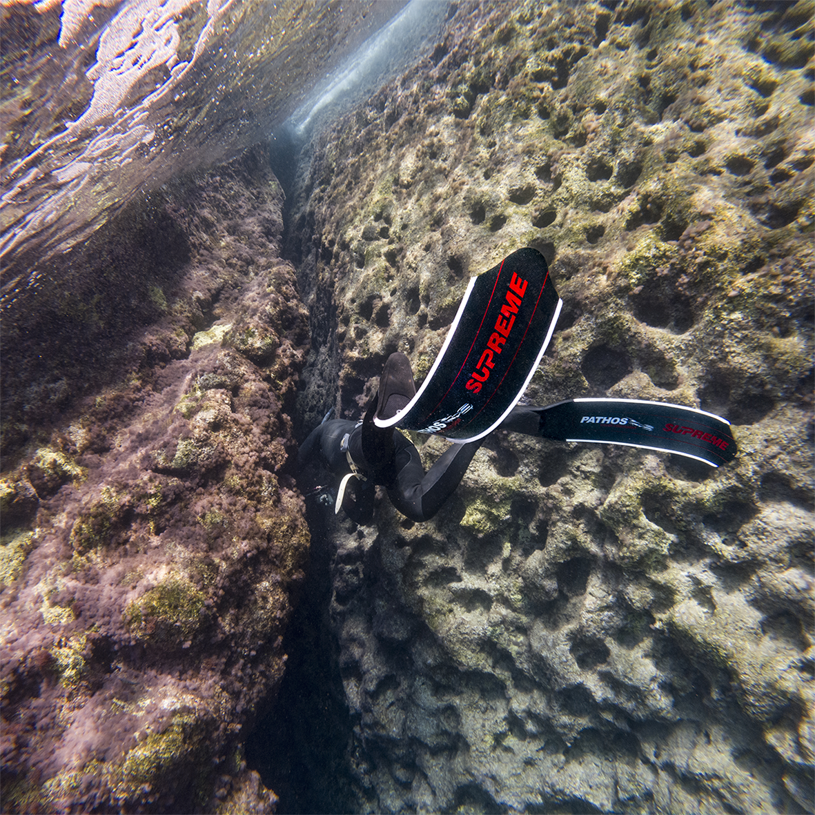 Pathos - Finneblad - Carbon Supreme