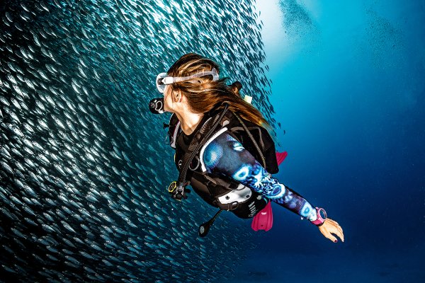 SSI Dive Guide (Privat undervisning)