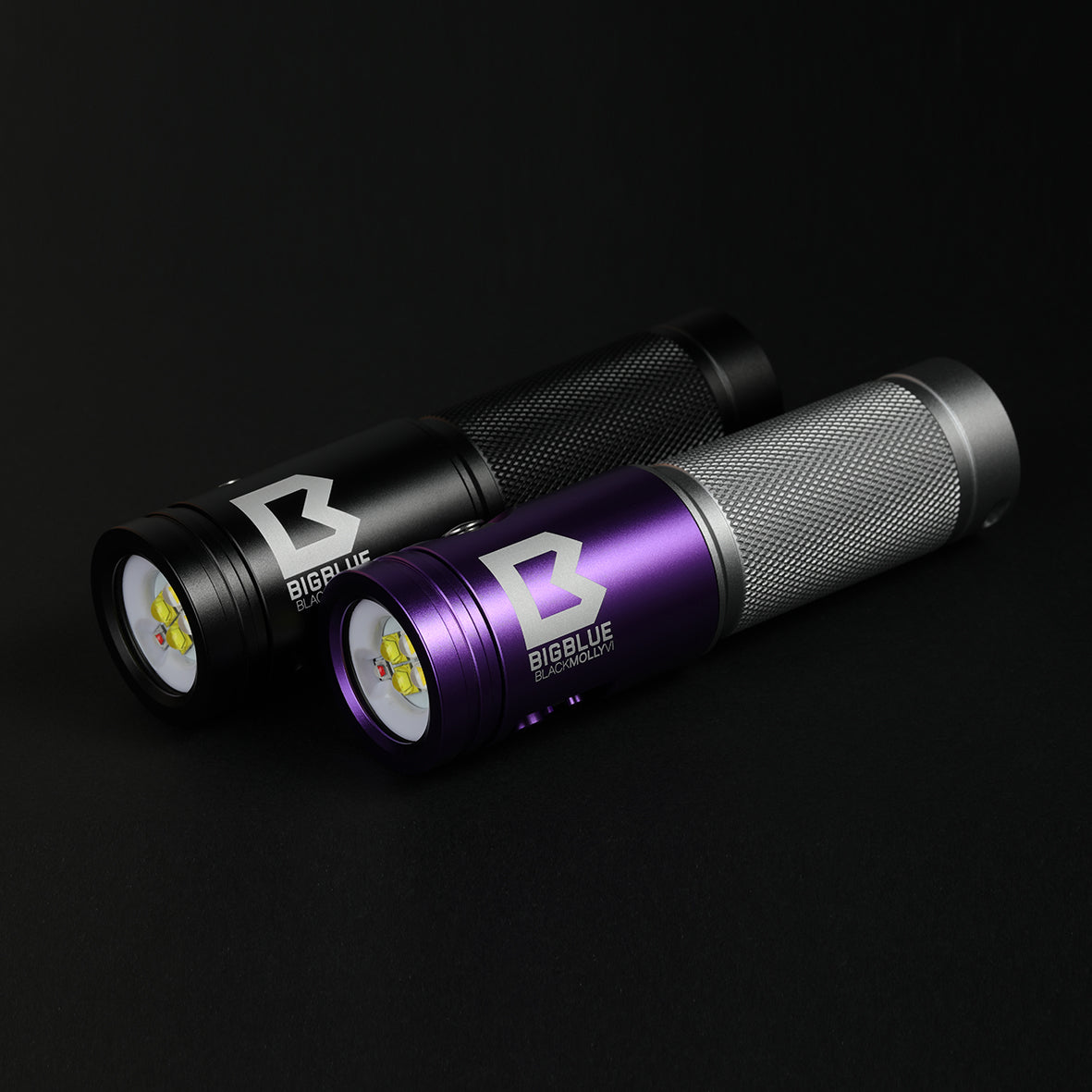 Bigblue - Black Molly VI - Tri Color