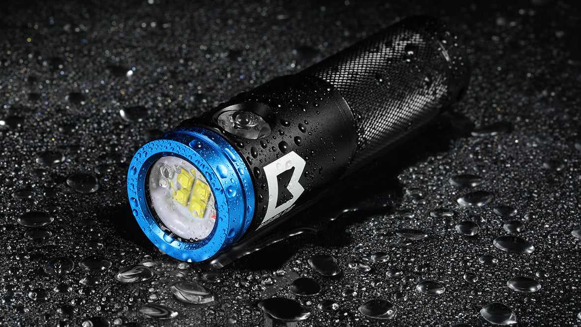 Bigblue - Black Molly VIIB