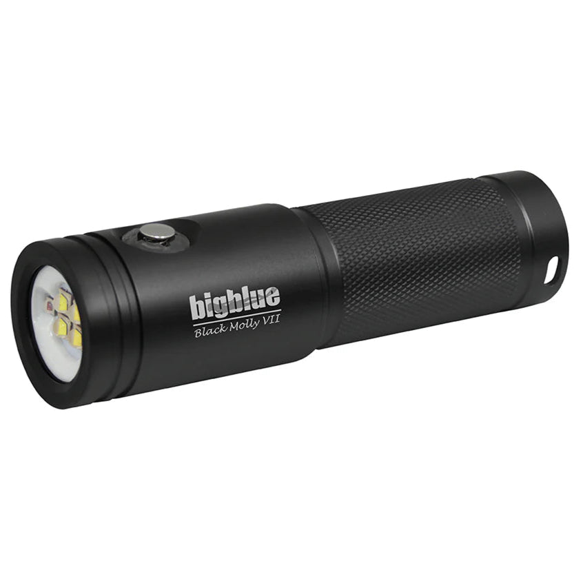 Bigblue - Black Molly VII