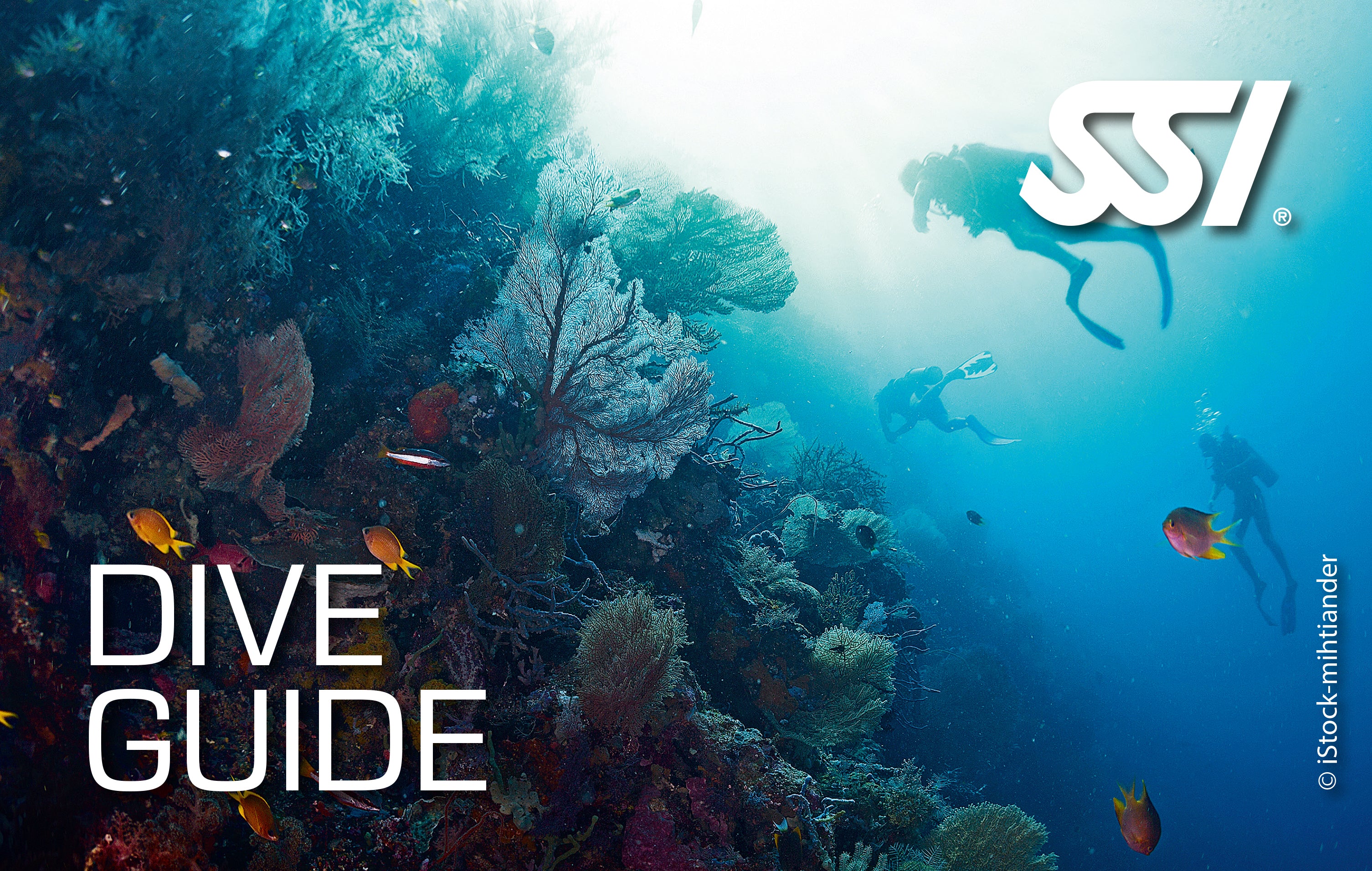 SSI Dive Guide (Privat undervisning)