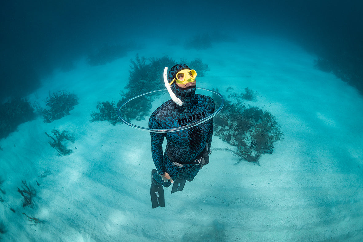 SSI Science Of Diving Speciality (Privat undervisning)