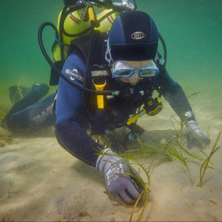 Genopfriskningskurser - Scuba Skill update inkl. udstyr i Århus