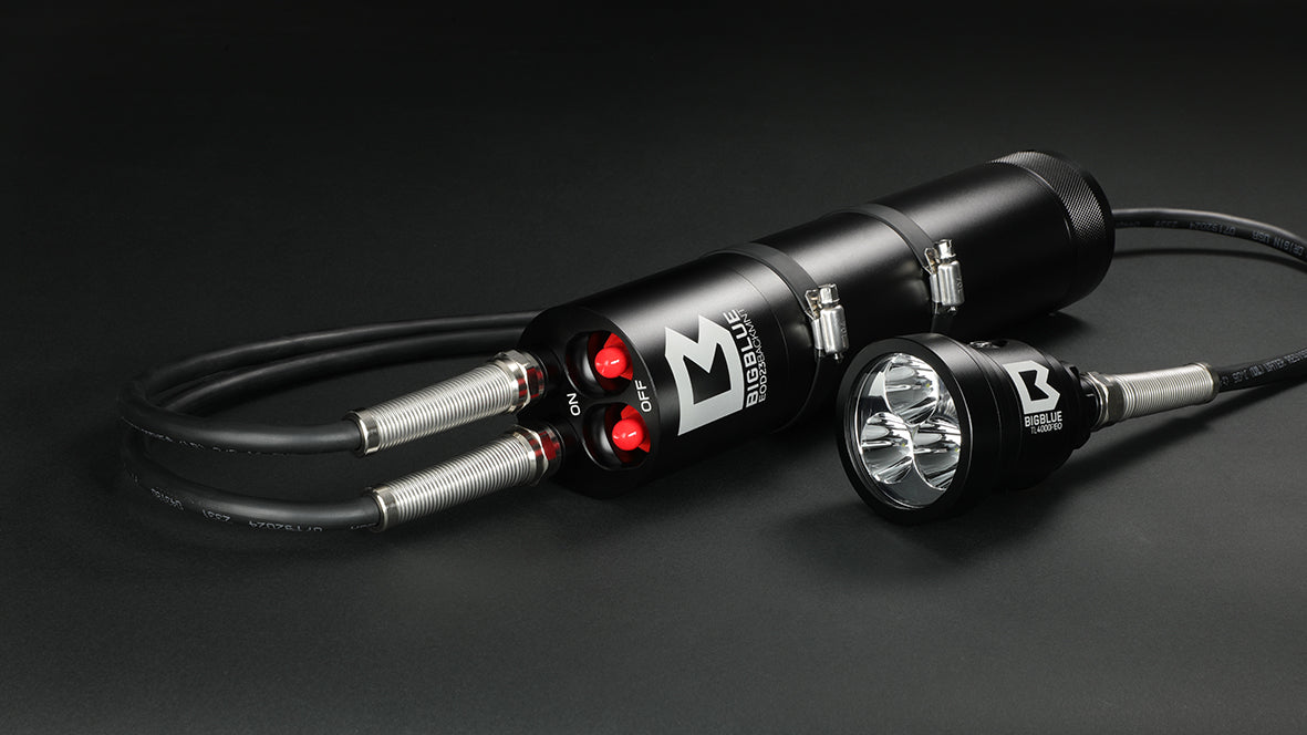 Bigblue - TL4000P EOD23 - BACKMOUNT