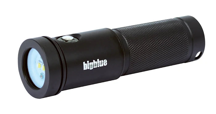 Bigblue - Black Molly II- Tri Color