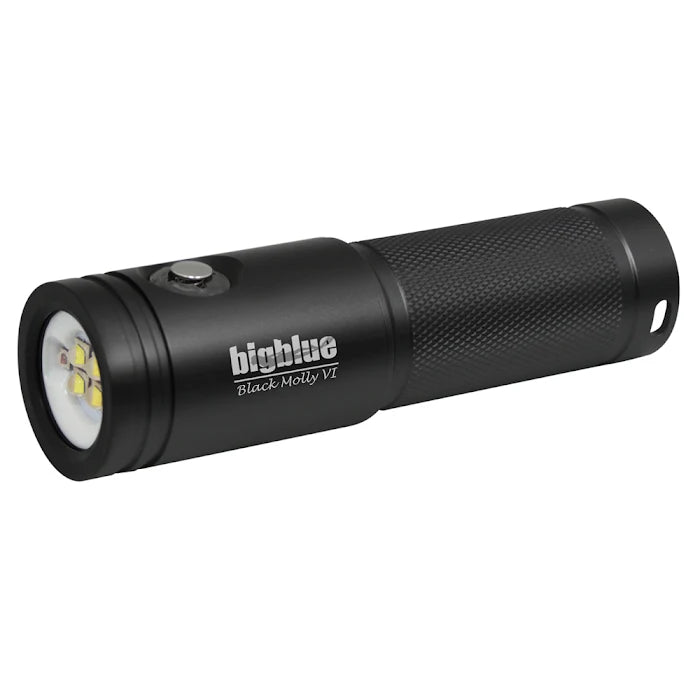 Bigblue - Black Molly VI - Tri Color