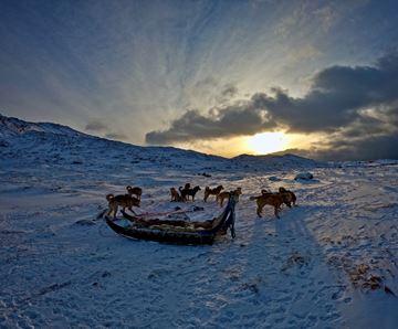 Billede af Grønland Iluissat